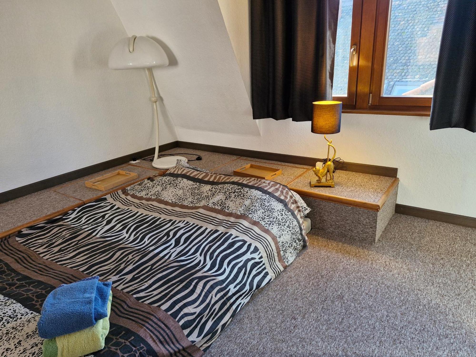 Face A La Cathedrale Apartment Strasbourg Bagian luar foto